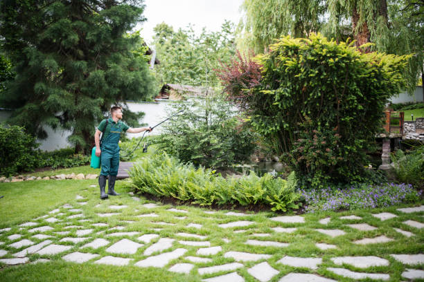 Best Local Pest Control Services  in Fort Davis, TX