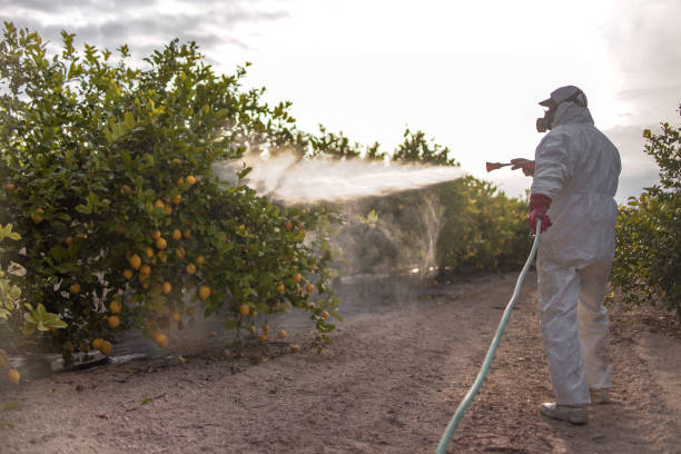 Best Bed Bug Extermination  in Fort Davis, TX