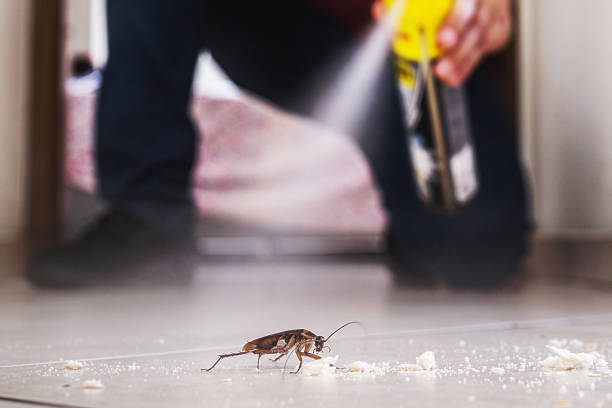 Professional Pest Control in Fort Davis, TX