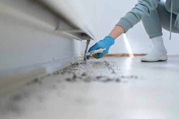 Best Best Pest Control Companies  in Fort Davis, TX