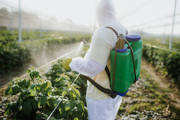 Best Wildlife Control Services  in Fort Davis, TX